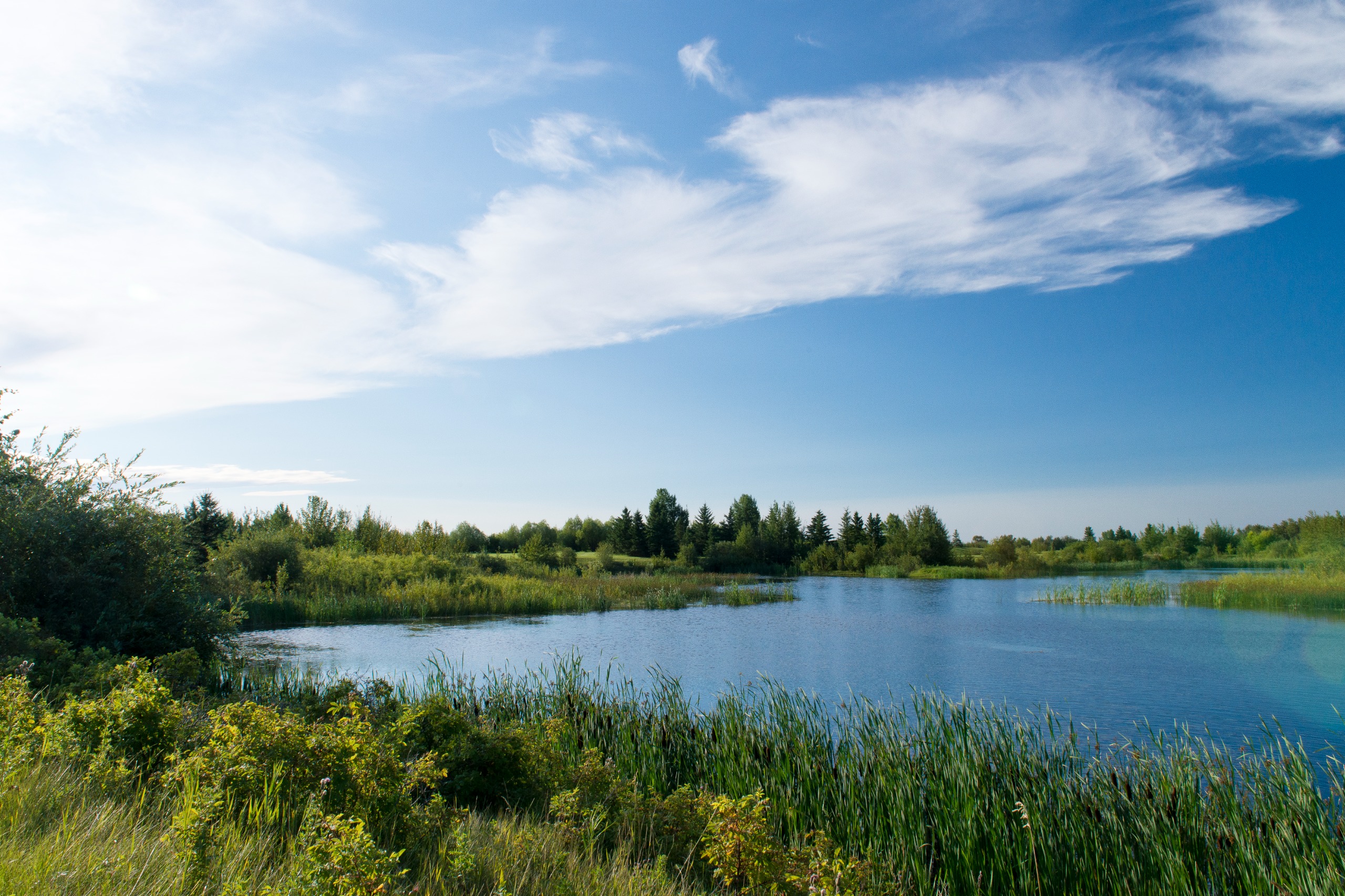 Sturgeon County