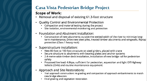 Slide explaining the project